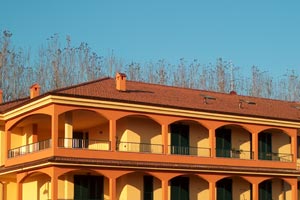 allevamento sacro di birmania