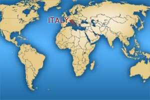 allevamento sacro di birmania