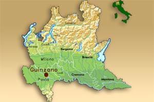 allevamento sacro di birmania