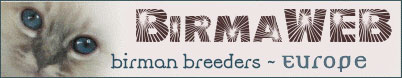 Euro Birman